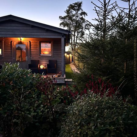 Chalet In Het Groen Met Airco Drachtstercompagnie エクステリア 写真