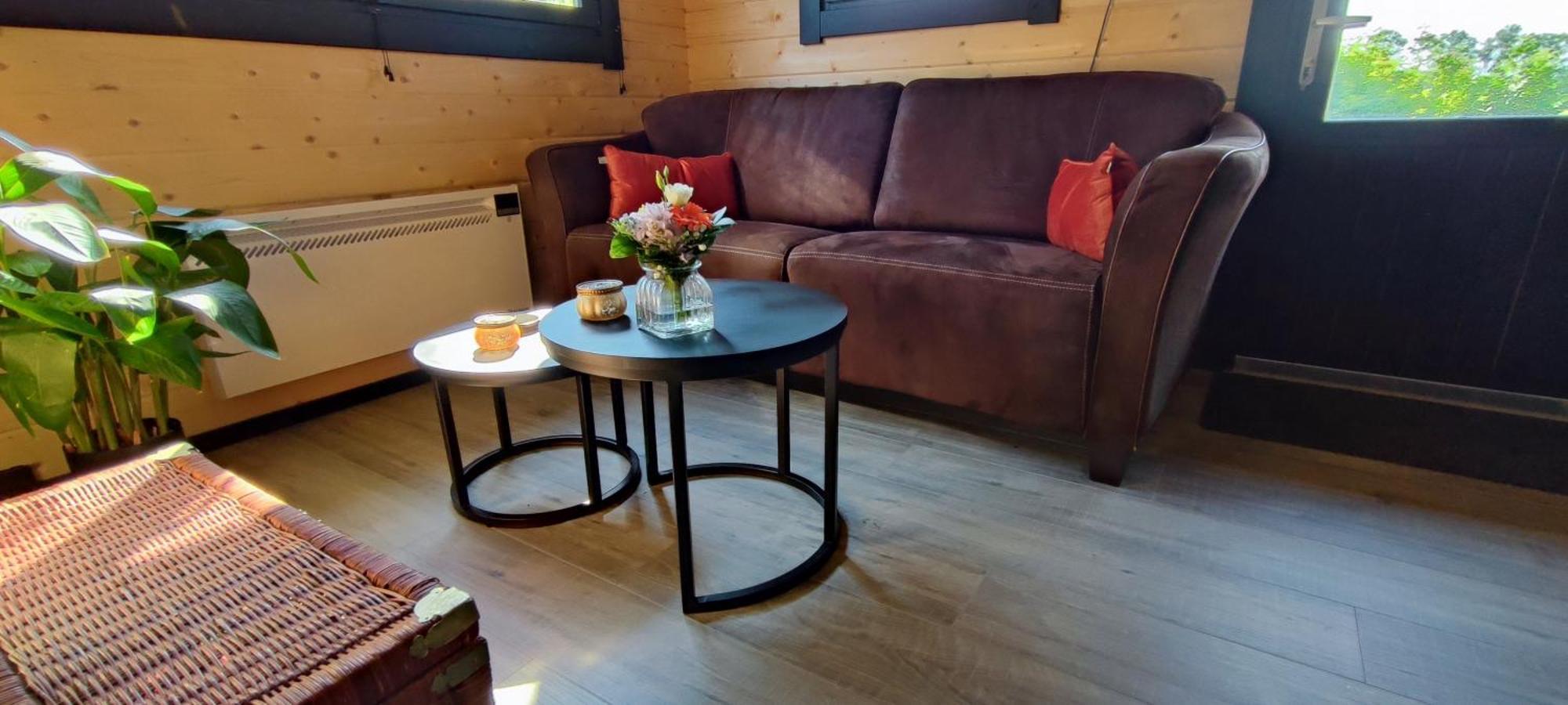 Chalet In Het Groen Met Airco Drachtstercompagnie エクステリア 写真
