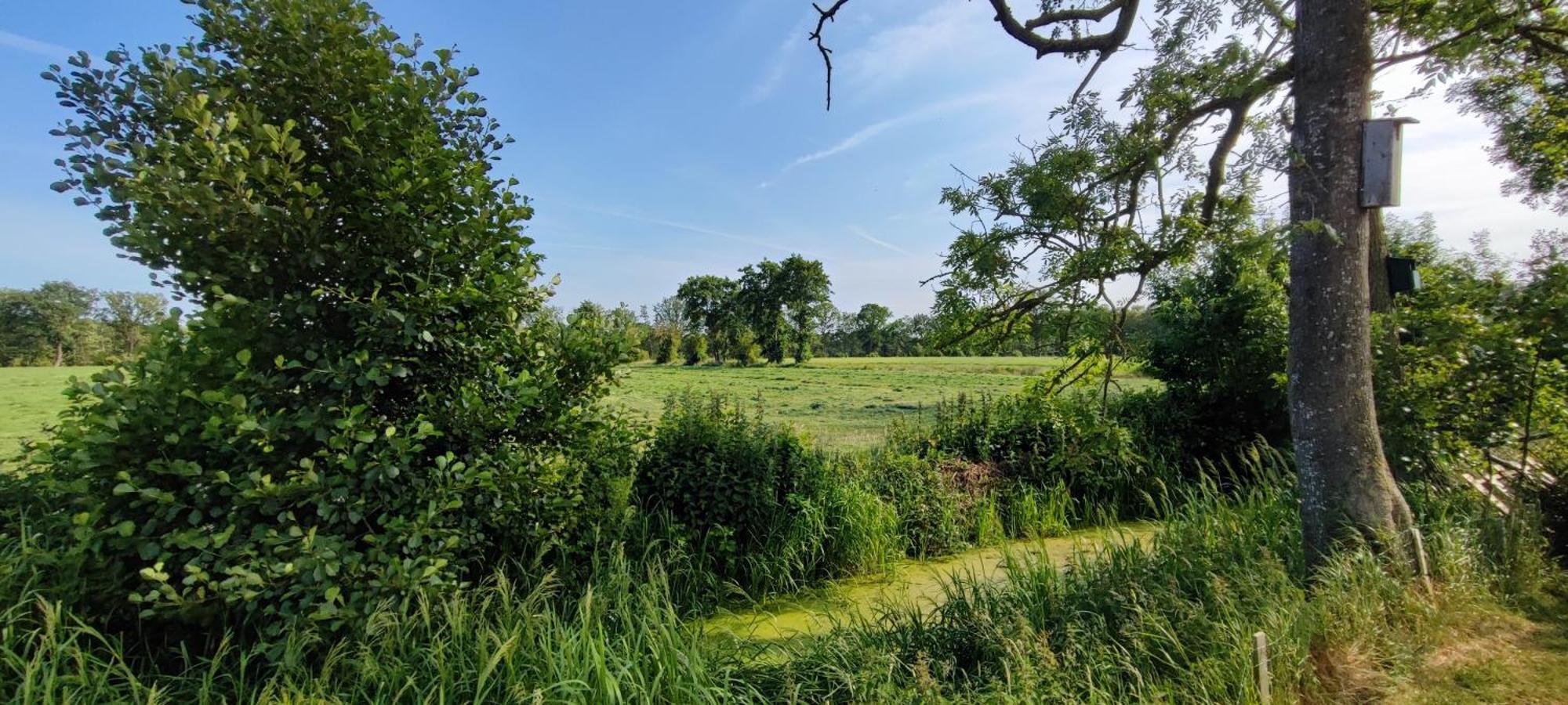 Chalet In Het Groen Met Airco Drachtstercompagnie エクステリア 写真