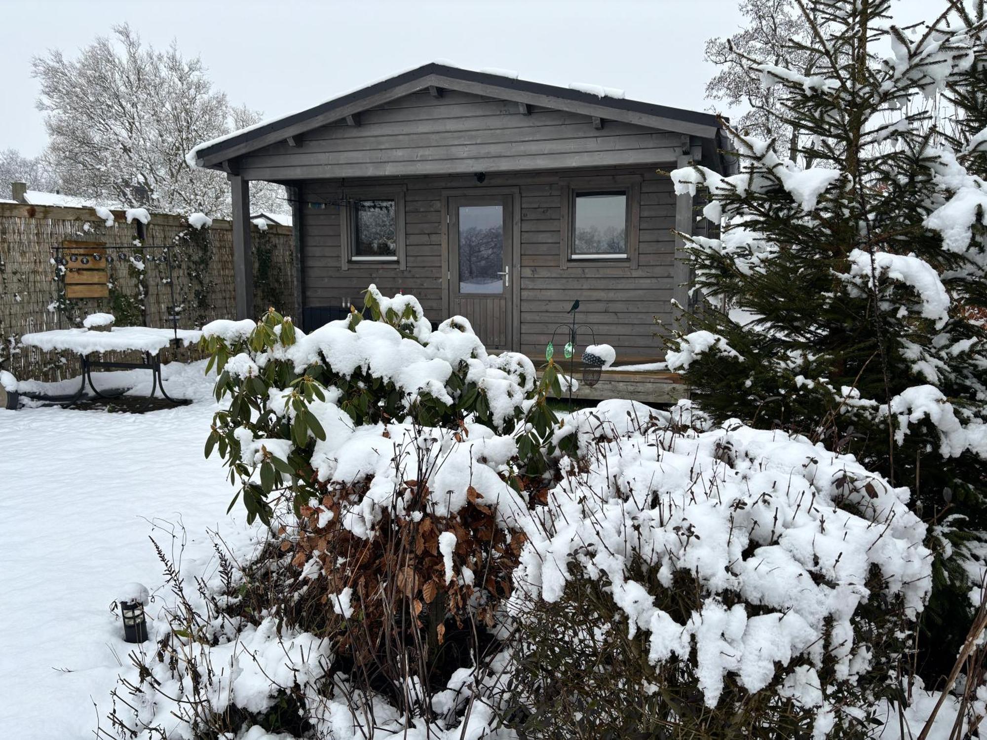Chalet In Het Groen Met Airco Drachtstercompagnie エクステリア 写真
